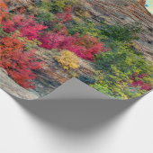 Wüstenberg-Herbstfarben  Geschenkpapier (Ecke)