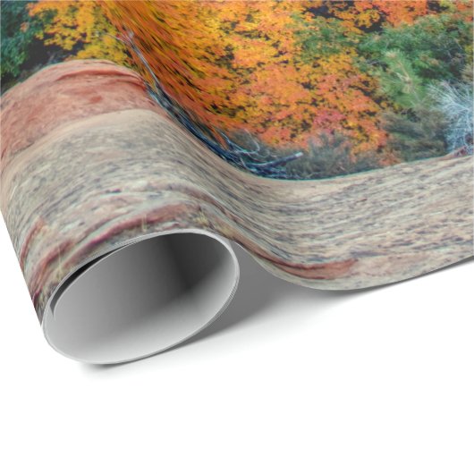 Wüstenberg-Herbstfarben Geschenkpapier (Rolleneckpunkt)