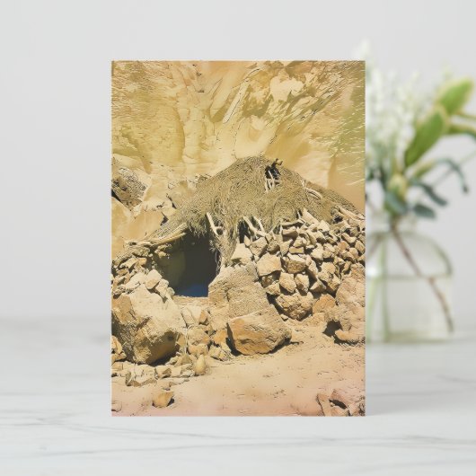 Wüstenbewohnung Feiertagskarte (Stehend Vorderseite)