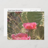 Wüstenblooms Postkarte (Vorne/Hinten)