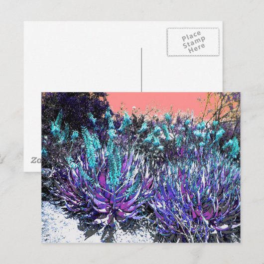 Wüstenblooms Postkarte (Vorne/Hinten)