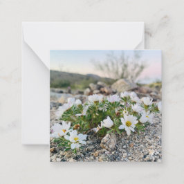 WüstenBlume Mitteilungskarte