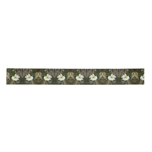 WüstenBlume Satinband (Vorderseite)