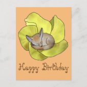 Wüstenblumen Postkarte (Vorderseite)