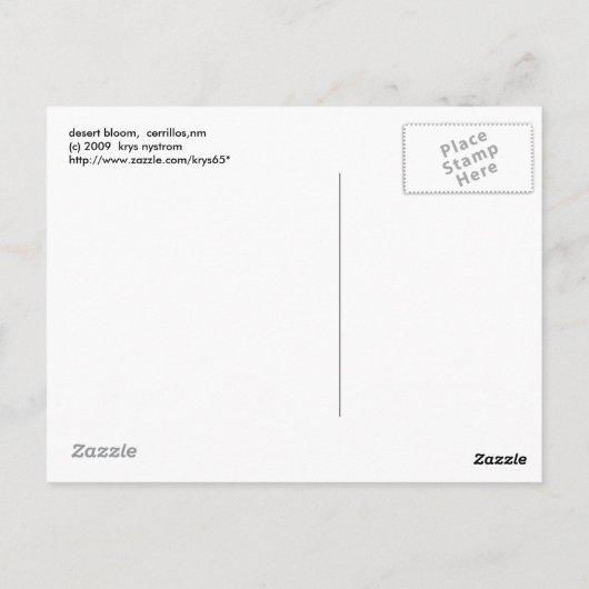 Wüstenblüte Postkarte (Rückseite)