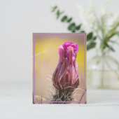 Wüstenblüte Postkarte (Stehend Vorderseite)