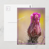 Wüstenblüte Postkarte (Vorne/Hinten)