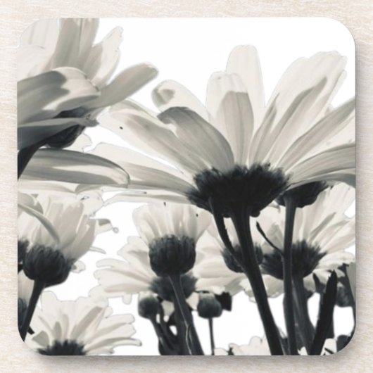 Wüstenblüten Case-Mate iPhone-Hülle Getränkeuntersetzer (Vorderseite)