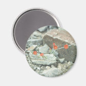 Wüstenblüten dekorativer Kühlschrank Magnet (Vorderseite/Rückseite)