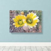 Wüstenblüten Leinwanddruck (Insitu (Holzboden))