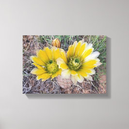 Wüstenblüten Leinwanddruck