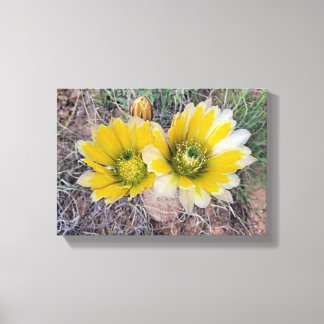 Wüstenblüten Leinwanddruck