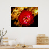 Wüstenblüten Poster (Küche)