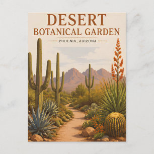 Wüstenbotanischer Garten Arizona-Kaktus-Landschaft Postkarte