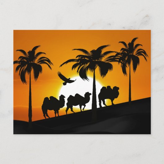 WüstenCamels bei Sonnenuntergang Postkarte (Vorderseite)