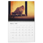 Wüstendoves-Kalender Kalender (Feb 2027)