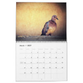 Wüstendoves-Kalender Kalender (Mär 2027)