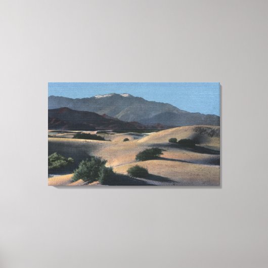 Wüstenduschen und schneebedeckte Berge Leinwanddruck (Vorderseite)