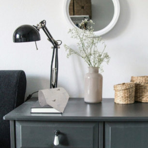 Wüstenechse auf Grau Sidewalk Foto geteert Krawatte