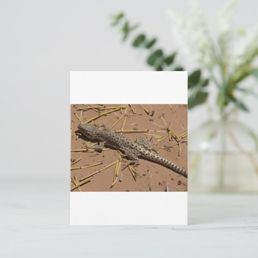 Wüstenechse Postkarte (Stehend Vorderseite)