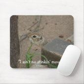 Wüsteneichhörnchen Funny Mousepad (Mit Mouse)