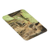 Wüsteneichhörnchen in Tucson Magnet (Rechte Seite)