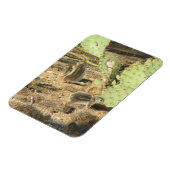 Wüsteneichhörnchen in Tucson Magnet (Linke Seite)