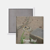 Wüsteneichhörnchen Tier Motivierend Magnet (Vorderseite/Rückseite)