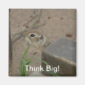 Wüsteneichhörnchen Tier Motivierend Magnet (Vorne)