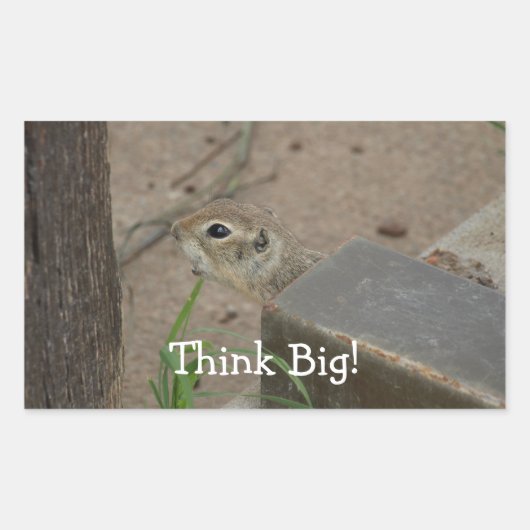 Wüsteneichhörnchen Tier Motivierend Rechteckiger Aufkleber (Vorderseite)