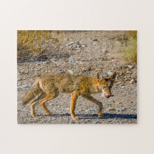 Wüstenfuchs des Death Valley. Puzzle (Horizontal)
