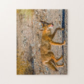 Wüstenfuchs des Death Valley. Puzzle (Vertikal)