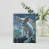 Wüstenfuchs, Fennek (Vulpes zerda) Postkarte (Stehend Vorderseite)