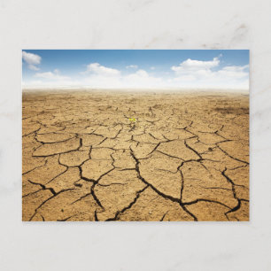 Wüstenfußboden gebrochen postkarte
