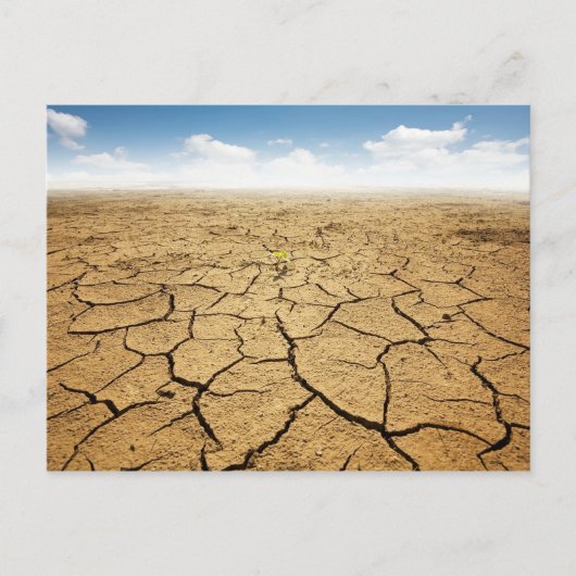 Wüstenfußboden gebrochen postkarte (Vorderseite)