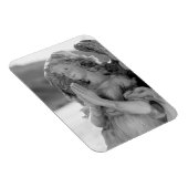 Wüstengel Magnet (Rechte Seite)