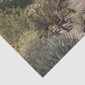 Wüstengewebe Seidenpapier (Ausschnitt)