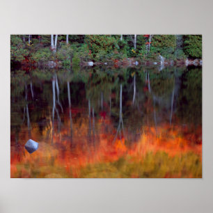 Wüsteninsel  Nationalpark Acadia, Maine Poster