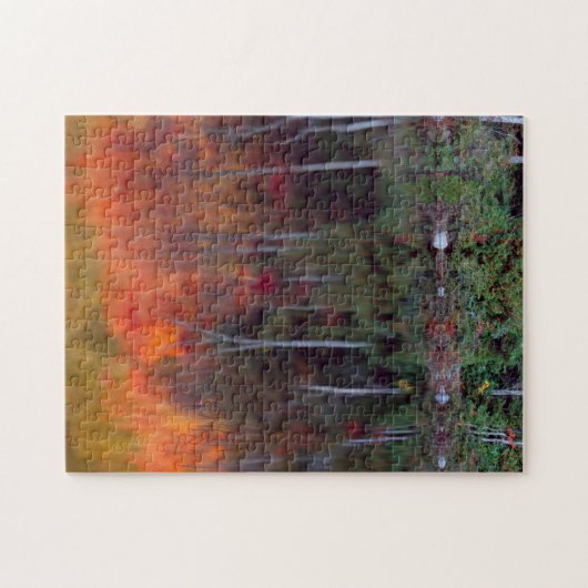 Wüsteninsel| Nationalpark Acadia, Maine Puzzle (Horizontal)