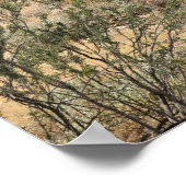 Wüstenkaktus 16x20 Poster Wand Kunstdekor (Ecke)