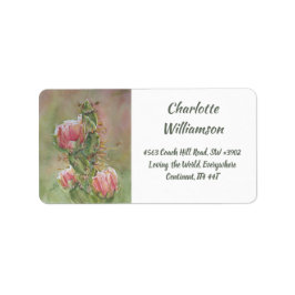 Wüstenkaktus-Blume in Aquarelladresse Adressaufkleber