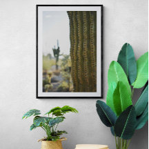 Wüstenkaktus Fotografie Poster