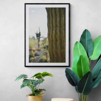 Wüstenkaktus Fotografie Poster