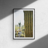 Wüstenkaktus Fotografie Poster