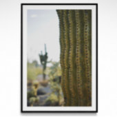 Wüstenkaktus Fotografie Poster