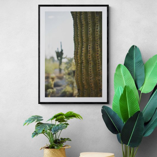Wüstenkaktus Fotografie Poster