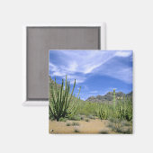 Wüstenkaktus im Orgelpfeifenmonument, Magnet (Vorderseite/Rückseite)