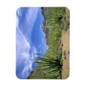 Wüstenkaktus im Orgelpfeifenmonument, Magnet (Vertikal)