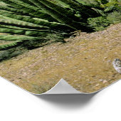 Wüstenkaktus im Orgelpfeifenmonument, Poster (Ecke)