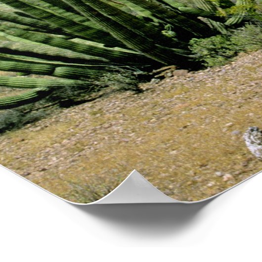 Wüstenkaktus im Orgelpfeifenmonument, Poster (Ecke)